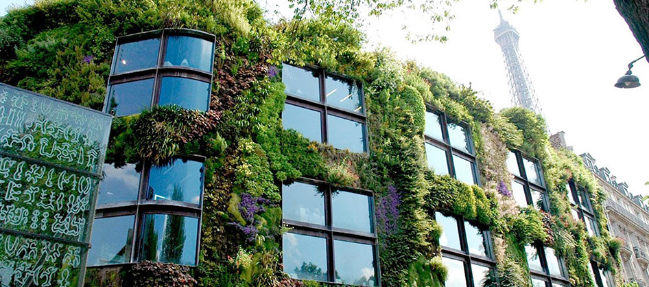 Zelené strechy, vertikálne záhrady a voda